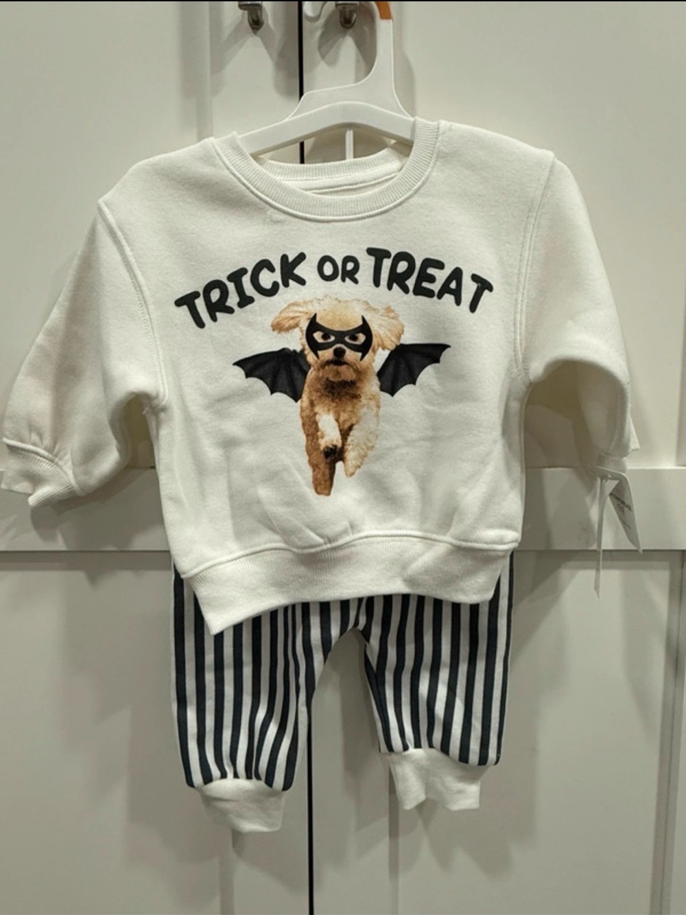 NWT Grayson Mini Halloween Bat Dog Set 12M